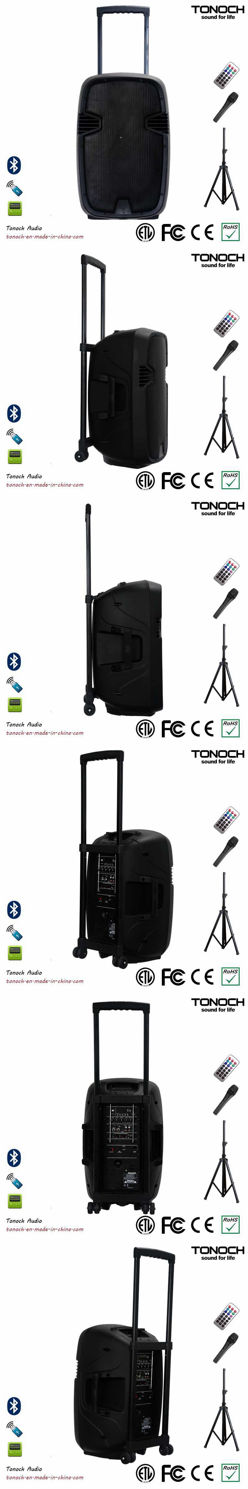 OEM 12 Inches Plastic Trolley PRO Audio with Battery