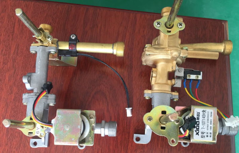 Flue Type Instant Gas Water Heater/Gas Geyser/Gas Boiler (SZ-RS-40)
