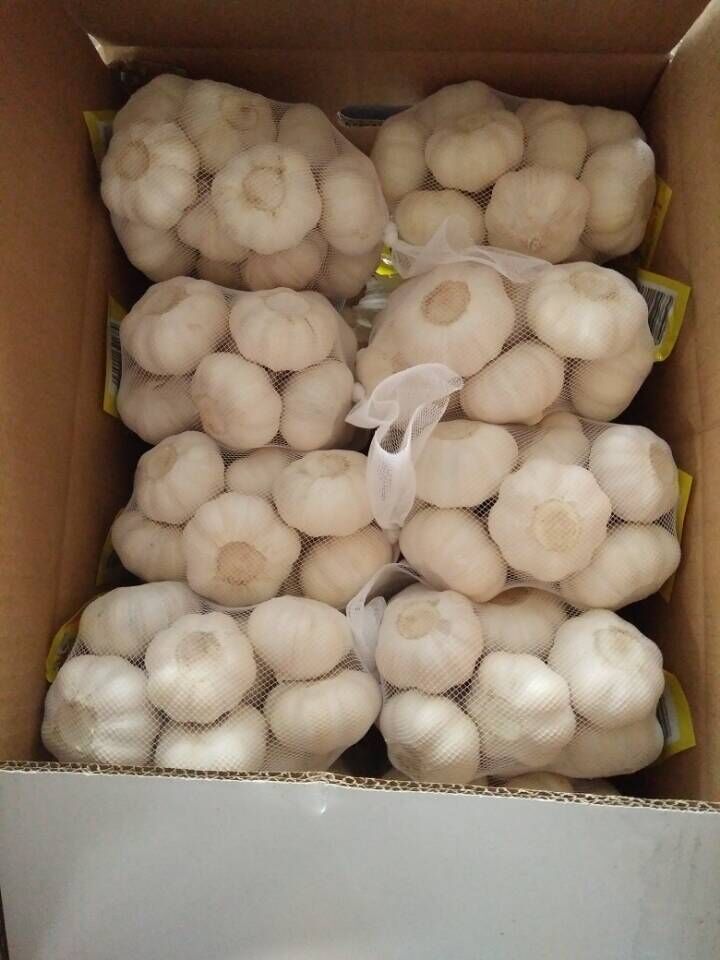 2016 Chinese New Crop Pure White Garlic