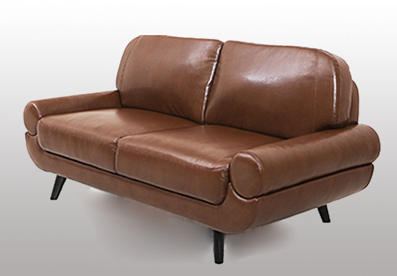 New Design Wooden Leather Sofa for Home