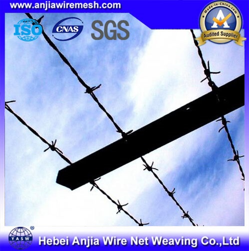 CE & SGS Galvanized Barbed Wire for Fence