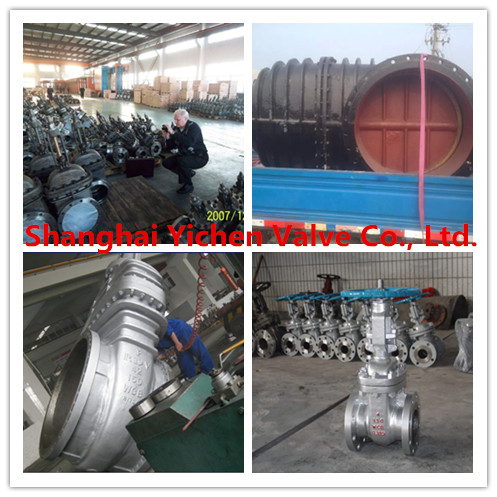 DIN/BS Standard Cast Iron Gate Valve (Z45X)