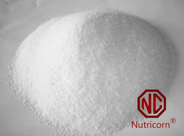 Made in China Sodium Hyaluronate (Food grade)