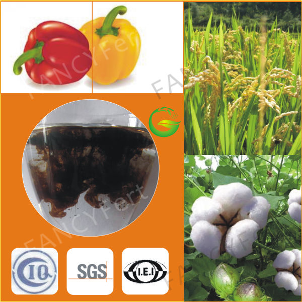 Agriculture Organic Fertilizer Supreme Potassium Humate