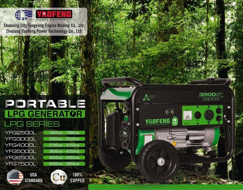 5000 Watts Electric Power Gasoline and LPG Generator with EPA, Carb, CE, Soncap Certificate (YFGP6500DE2)