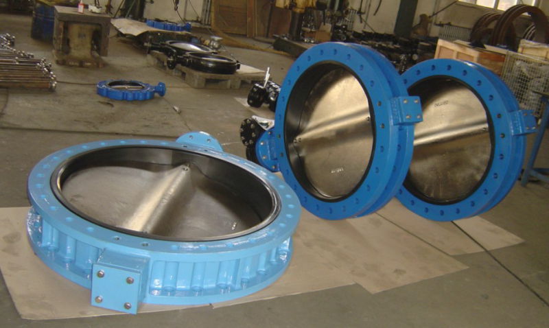 Dn40-Dn2400 Double Flanged Butterfly Valve