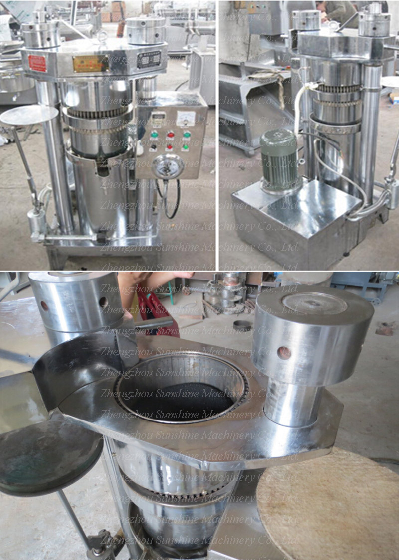 Peanut Animal Fat Almond Cold Press Oil Extraction Machine