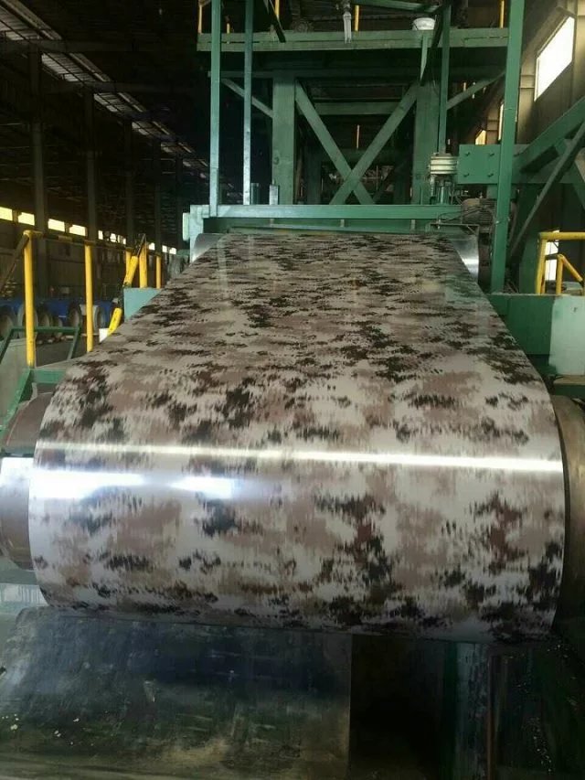 Galvanized /Prepainted Steel Coil for Building Material