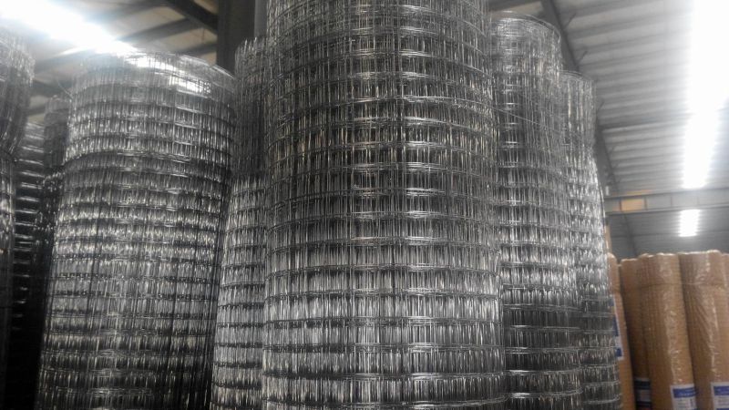 Stainless Steel Welded Mesh