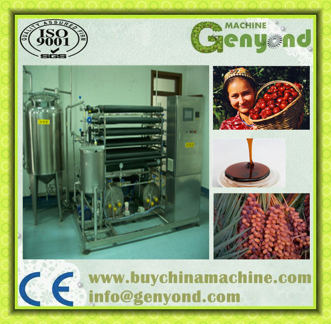 Small Middel Scale Date Paste Making Machine