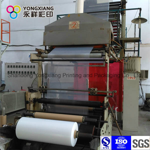 Laminated Three-Layer Co-Extruded Film