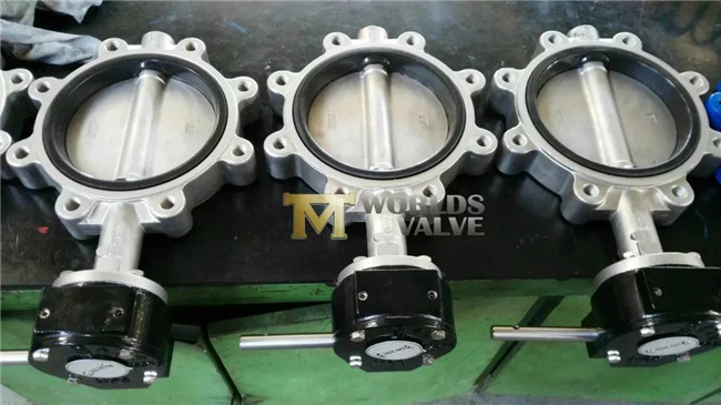 Ss316L Lug Type Control Butterfly Valve (D7L1X-10/16)