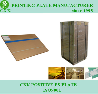 China Maker PS Printing Plate (P8)