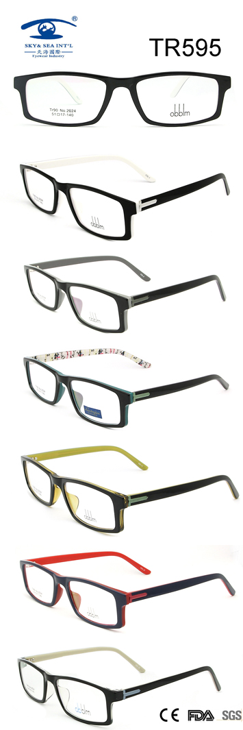 Tr90 Optical Frame Optical Glasses (TR595)