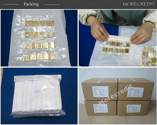 Hardware for Handbag/Metal Plate