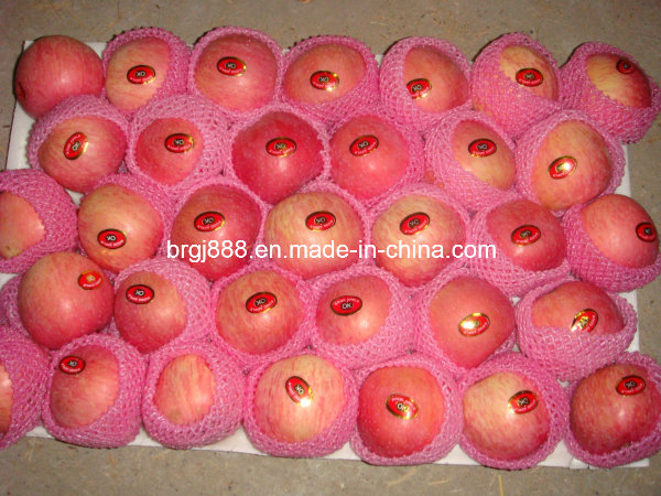 From China Unbagged Fresh Sweet Red FUJI Apple