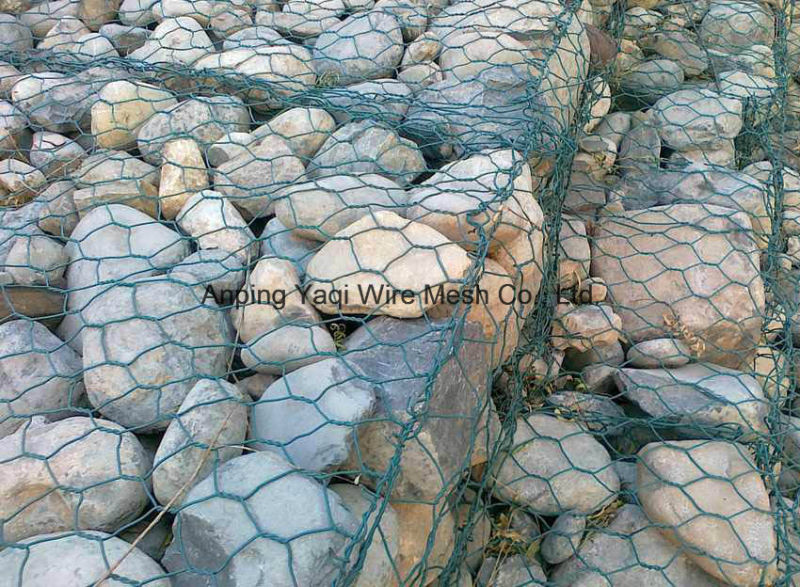 Hexagonal Wire Mesh/ Gabion Mesh / Metal Wire Mesh