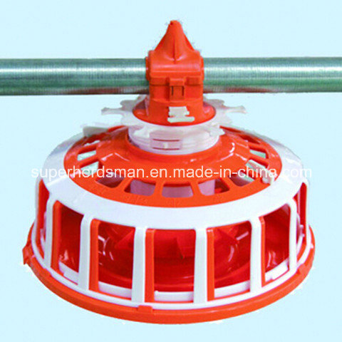 High Quality Poultry Equipment for Layer Chicken