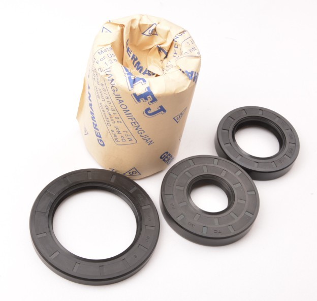 Alkali Proof FKM Tc Oil Seal Ring