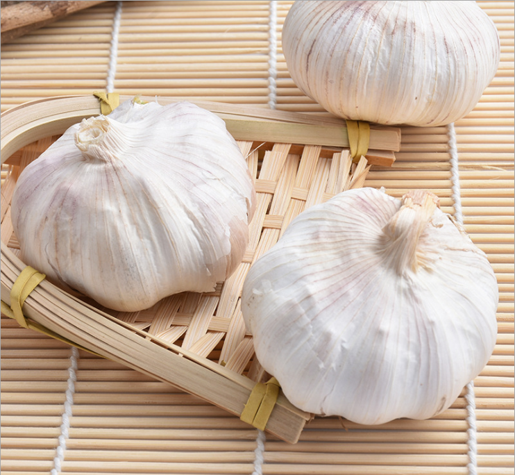 Small packing pure white Garlic