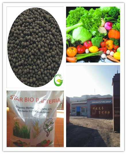 Beneficial Bacteria Fertilizer, Organic Bio Bacteria Fertilizer