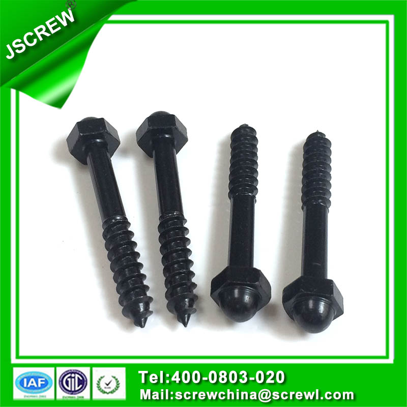 Customized Made Black Screw Bolt