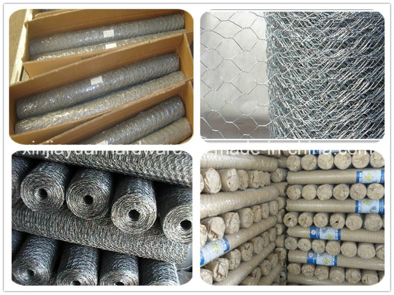 Hot DIP Galvanized Hexagonal Wire Netting