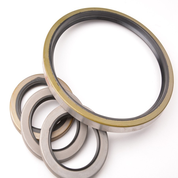 Alkali Proof FKM Tc Oil Seal Ring