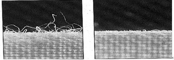 Acid Cellulase for Removing Surface Fiber