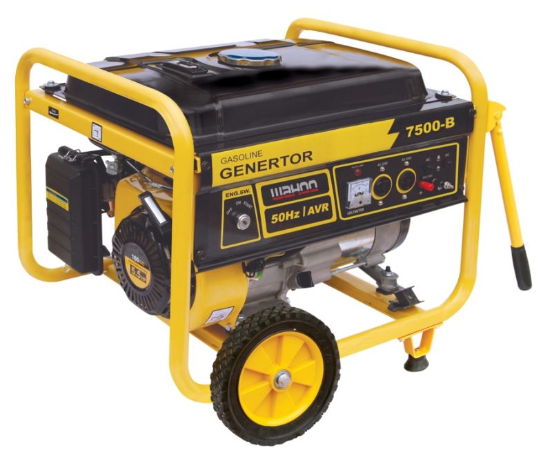 CE Certificate Gasoline Generator Wh7500 X Eco Series