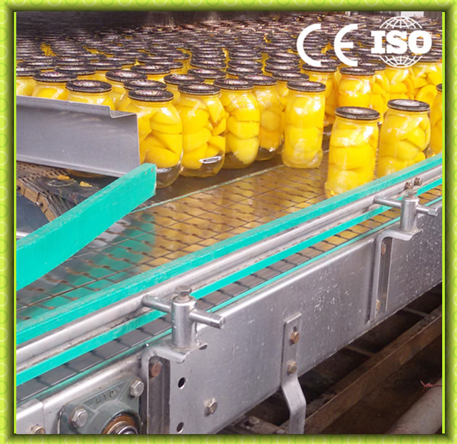 Full Automatic Canned Food Production Line