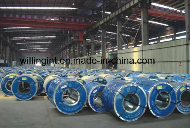 0.15-2.5mm Galvanized Steel Coil