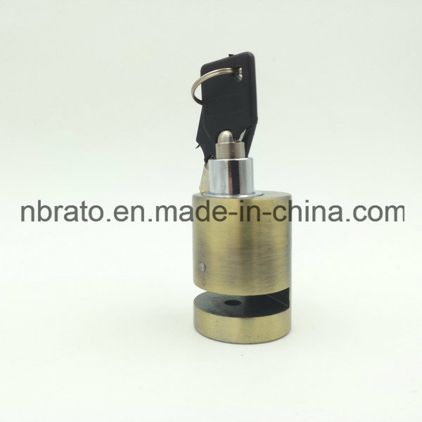 Brass Coated Cylinder Disc Brake Lock