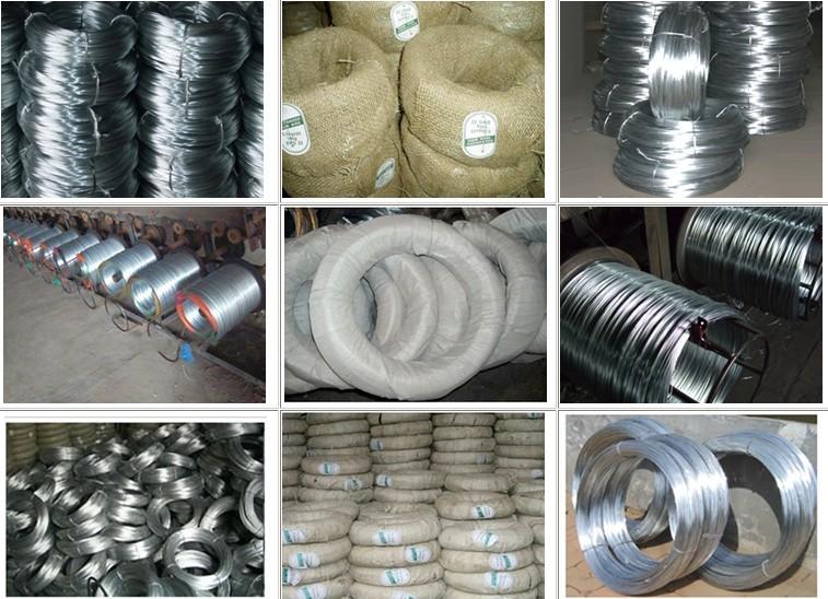 Galvanized Iron Wire in Factory