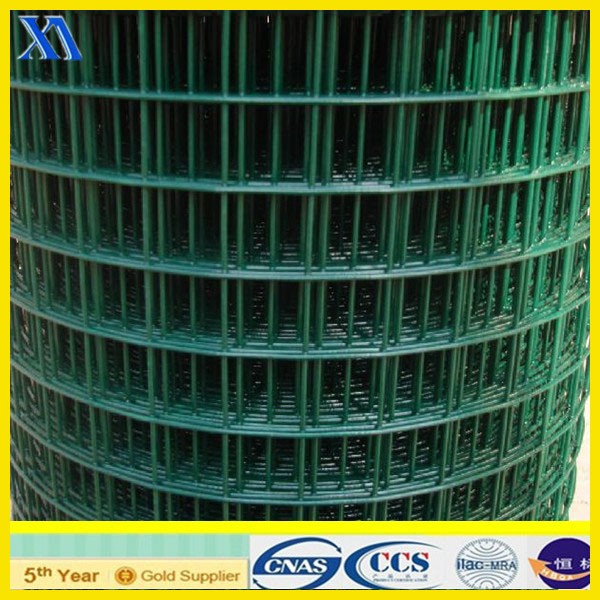 Anping PVC Coated Welded Wire Mesh (XA-419)