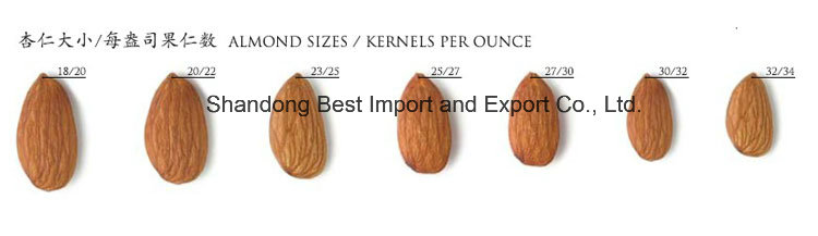 Almonds Kernel Almonds Without Shell