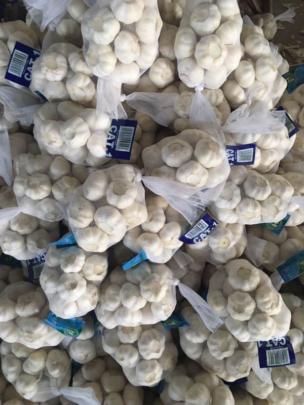 2016 New Crop Chinese Pure White Garlic