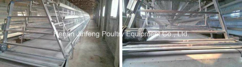 Poultry Farm Layer Chicken Cage in China