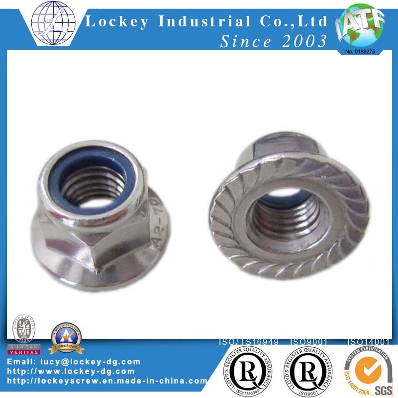 Stainless Steel 304/316 Hex Nylon Nut