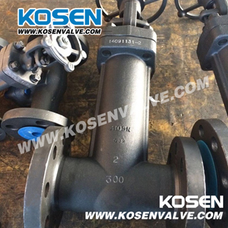 Forged Bellow Seal Gate Valves (WZ41)