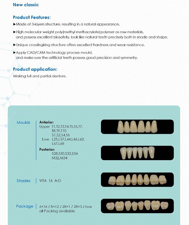 R101 Three-Layer Synthetic Resin Teeth