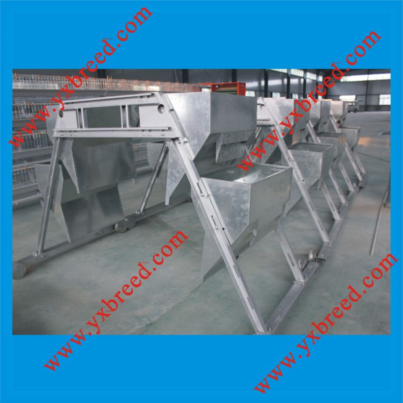 Layer Chicken Cage of Poultry Equipment