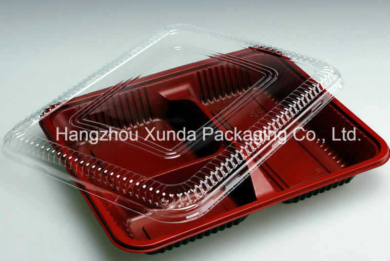 New Style Disposable Plastic PP/Pet Bento Box Takeaway Food Tray with Lid