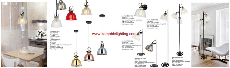 Modern Reading and Studing Metal Table Lamp (MT8021-1OP)