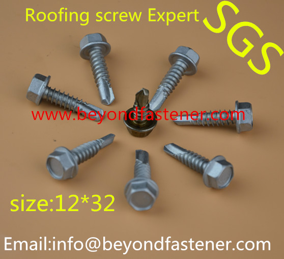 Roofing Screw Fastener Screw Bolts