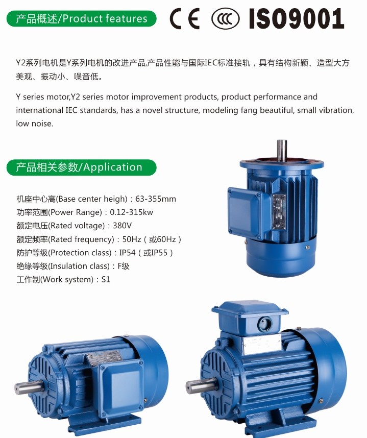 Y2 2pole/4pole Cast Iron Three Phase Electric Motor with Ce