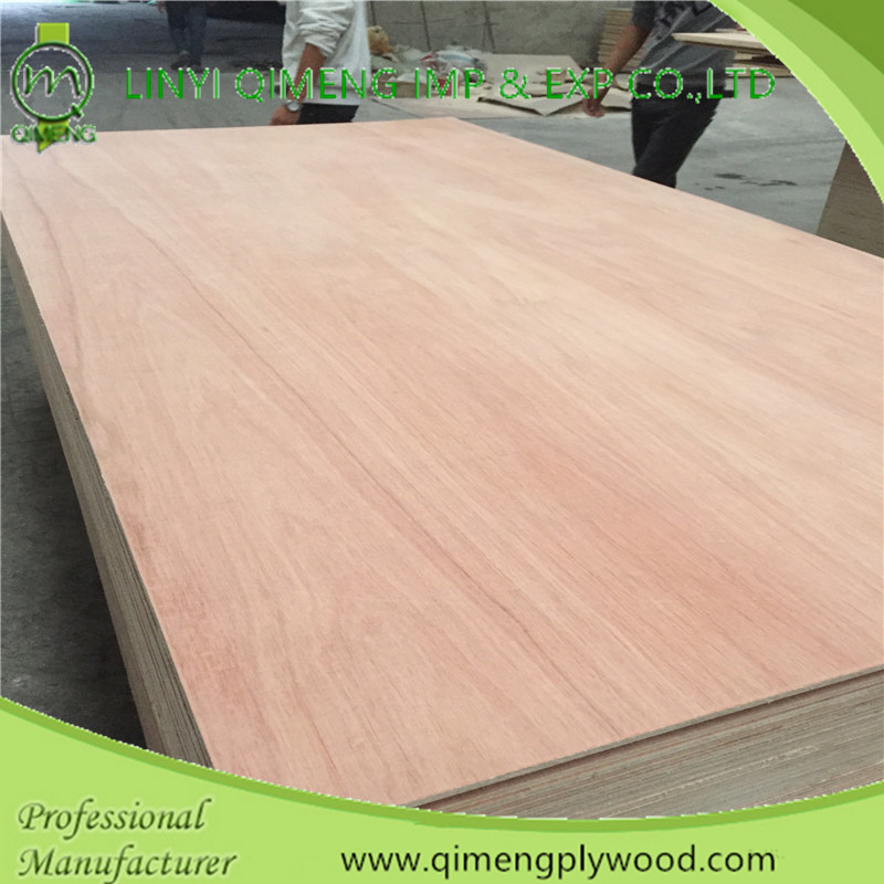 3mm 5mm 9mm 12mm 15mm 18mm Hardwood Commercial Plywood with Competitive Price