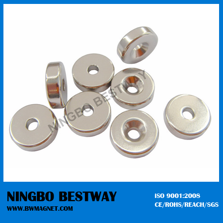 Sintered NdFeB Ring Magnet