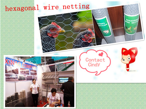 Roofing Safety Mesh Hexagonal Wire Netting