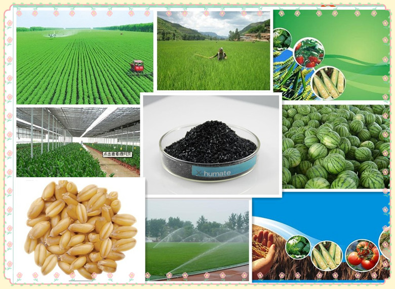 Completely Water Soluble Potassium Humate with High Content of Fulvic Acid